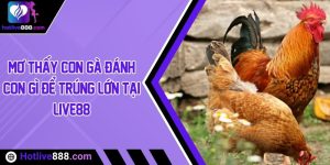 Mơ thấy con gà đánh con gì