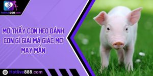 Mơ thấy con heo đánh con gì