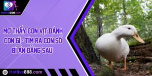 Mơ thấy con vịt đánh con gì